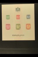 1949-95 NHM SELECTION Presented On Stock Pages. Includes 1948-51 Imperf Definitive M/s, 1949 Air Perf & Imperf... - Irak