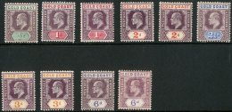 1904-06 Edward Multiple Watermark, Set To 6d, With Both Papers Of 1d, 2d, 3d And 6d, SG 49/54a, Fine Mint. (10... - Costa D'Oro (...-1957)