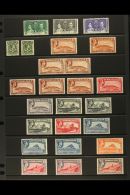 1937-51 FINE MINT COLLECTION On Stock Pages. Inc 1937 Coronation Set, 1938-51 Complete Defin Set Of Each Value To... - Gibilterra