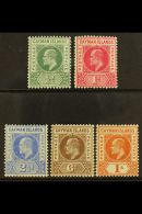 1902-03 Complete Set, SG 3/7, Fine Mint. (5) For More Images, Please Visit... - Caimán (Islas)