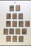 1880-82 Mint, Unused & Used Collection With Shades In Hingeless Mounts On Leaves, Inc 1880-82 1c (x16 Inc... - Andere & Zonder Classificatie