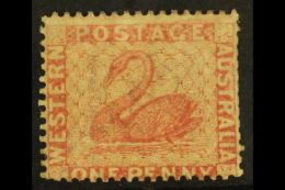 WESTERN AUSTRALIA 1861 1d Rose Perf 14, SG 38, Mint Part OG, Perfs Somewhat Trimmed At Right, Cat £375. For... - Otros & Sin Clasificación