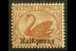 WESTERN AUSTRALIA 1895 ½d On 3d Red- Brown, SG 111b, Never Hinged Mint. Both Surcharges Perfectly Alligned... - Other & Unclassified