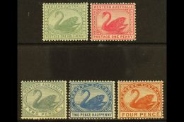 WESTERN AUSTRALIA 1885-93 Complete Set To 4d, SG 94/98, Fine Never Hinged Mint, Very Fresh. For More Images,... - Andere & Zonder Classificatie