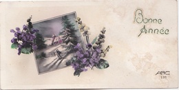 CARTE BONNE ANNEE - Paysage De Neige Et Fleurs . - New Year