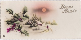 CARTE BONNE ANNEE - Paysage De Neige Et Houx . - New Year