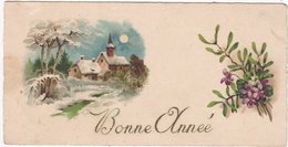 CARTE BONNE ANNEE - Paysage De Neige Et Fleurs . - Neujahr