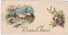 CARTE BONNE ANNEE - Paysage De Neige Et Fleurs . - New Year