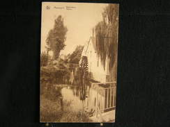 P 156 / Maaseik -  Maeseyck,  Boschmolen - Moulin  /  La Carte A Circulé En 1935  - - Maaseik