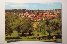 (9/4/65) AK "Lindenberg" Im Allgäu, Panorama - Lindenberg I. Allg.