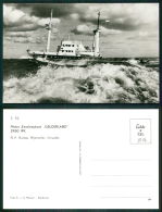 BARCOS SHIP BATEAU PAQUEBOT STEAMER [BARCOS #01804] - TUGBOAT -  GELDERLAND - Tugboats