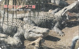 Japan  Phonecard Krokodil Crocodile - Jungle