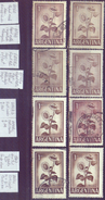 Argentina 1959-73 YT 604A, 867. Variedad Color, Papel. 1 Peso, Girasol. 2 Sc. See Desc. - Used Stamps