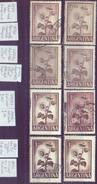 Argentina 1959-73 YT 604A, 867. Variedad Color, Papel. 1 Peso, Girasol. 2 Sc. See Desc. - Usati