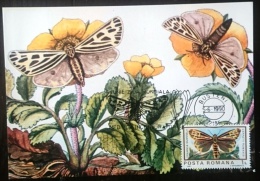 ROUMANIE Papillons, Butterflies, Mariposas, SCHMETTERLINGE, Yvert N°3466 FDC, Carte Maximum, Maximum Card - Vlinders