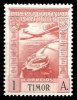 Timor Aereo 01 ** Foto Estandar. 1938 - Timor