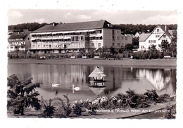 4933 BAD MEINBERG, Kurparkteich, 1956 - Bad Meinberg