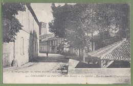 CPA Rare - DEUX-SÈVRES - COULONGES SUR L'AUTIZE - LE CHALET - RUE DES LAVOIRS - R. Bergevin / 453 - Coulonges-sur-l'Autize