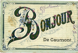 Bonjour De CAUMONT - Caumont Sur Durance