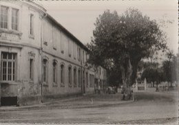 CPSM  84 SORGUES    ECOLE COMMUNALE DE GARCONS - Sorgues