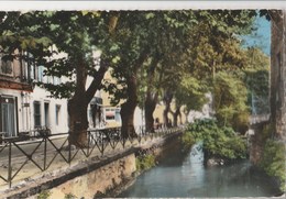 CPSM  84 SORGUES     COURS DE LA REPUBLIQUE  LA SORGUE - Sorgues