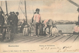 URUGUAY  )) MONTEVIDEO    Muelle De Pescadores - Uruguay