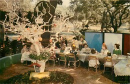 273145-California, Oakland, Children's Fairyland, Birthday Party At Sugar Plum Tree, Duchess By HS Crockett - Oakland