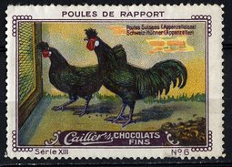 Cailler (1920's) - XIII - Poules De Rapport, Chickens - 6 - Poules Suisses, Schweiz Hühner - Nestlé