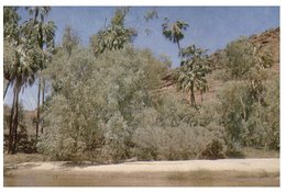 (719) Australia - NT - Finke River - Alice Springs