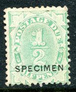 Australia 1902-04 Postage Due - Wmk. NSW - P.11 - ½d Green - SPECIMEN - No Gum (SG D34) - Postage Due