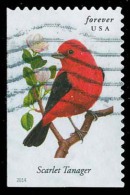 Etats-Unis / United States (Scott No.4888 - Oiseaux Américains / American Birds) (o) P2 - Oblitérés