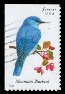 Etats-Unis / United States (Scott No.4883 - Oiseaux Américains / American Birds) (o) P2 - Usati