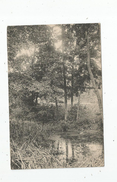 Cp , 93 , MONTFERMEIL , étang Dans La Forêt , Vierge - Montfermeil