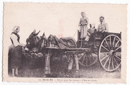 Ancienne Carte Animée, âne à Culottes Ile De Ré, Départ Pour Les Champs - Landbouwers