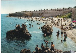 Cartolina - Postcard  - Spiaggia Salsello - Puglia - Bisceglie