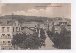 Cpa.Allemagne.1919.Bergzabern.Luftkurort.Bismarckstrasse - Bad Bergzabern