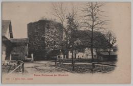 Ruine Richensee Bei Hitzkirch - Photo: E. Goetz No. 1041 - Hitzkirch