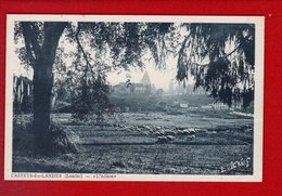 1 Cpa Carte Postale Ancienne - 40 - Castets Des Landes L Adoue - Castets