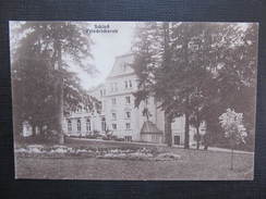 AK FRIEDRICHSRUH Ca.1920 // D*23996 - Friedrichsruh