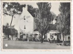 OOSTKERKE DAMME - Gasthof - Auberge - " SIPHON " - Terrasses - Damme