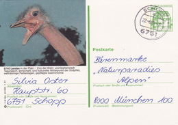 BPK Bund P 120 I "Landau" Gelaufen Ab "SCHOPP"  (ak0375) - Straussen- Und Laufvögel
