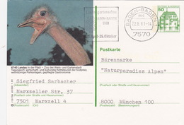 BPK Bund P 120 I "Landau" Gelaufen Ab "BADEN-BADEN 1"  (ak0376) - Straussen- Und Laufvögel
