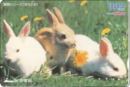 Japan  Prepaidcard Kaninchen Rabbit - Conejos