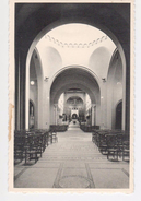 Loppem Zevenkerken - Sint-Andriesabdij : Binnenzicht Der Kerk - Abbaye St-André : Vue Intérieure De L´Eglise - Zedelgem