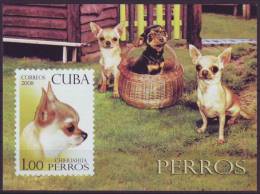 2008.240 CUBA 2008 SPECIAL SHEET. PERROS DE RAZA. DOG. CHIHUAHUA. - Unused Stamps