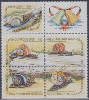 2000.33- * CUBA 2000. MNH. MILENIUM. NUEVO MILENIUM. CARACOLES. SNAIL BLOCK. - Used Stamps