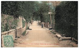 94 - MANDRES -- Les Vallées , Chute De La Source Bréant - Mandres Les Roses