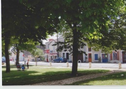 CPM 79 SAINT JOUIN DE MARNES ... La Place Des Marronniers (Livenais ME170615) - Saint Jouin De Marnes