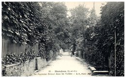 94 - MANDRES -- La Fontaine Bréant Dans Les Vallées - Mandres Les Roses