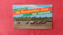 Horse Racing The Sweepstakes State    New Hampshire > Concord  Ref 2554 - Concord